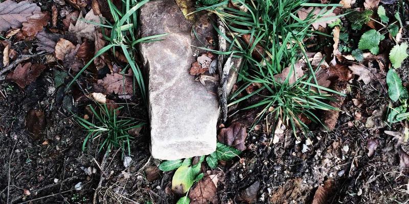 ENE黄金线与股价背离:识别趋势反转的早期信号,把握黄金白银交易先机