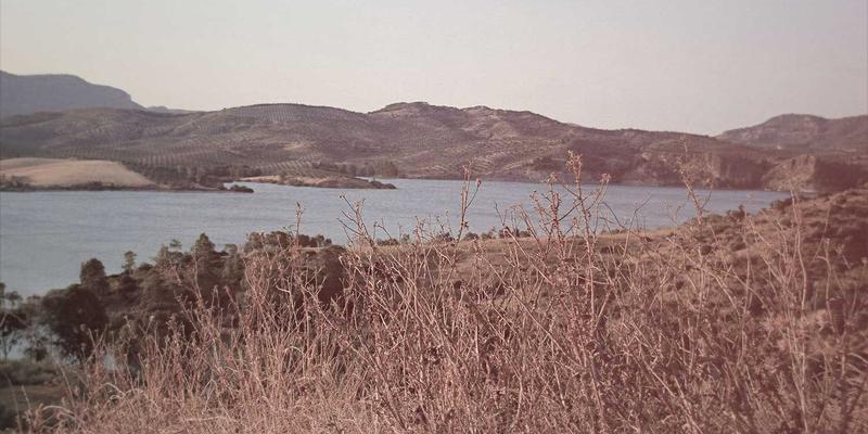 地缘政治风暴中的黄金交易密码：用ENE轨道过滤噪音，精准捕捉趋势脉冲