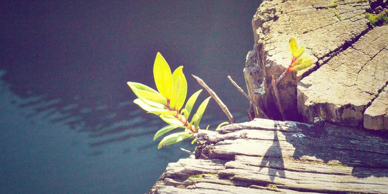 黄金期货交易进阶:巧用RSI与ENE黄金通道,精准识别并规避假突破陷阱