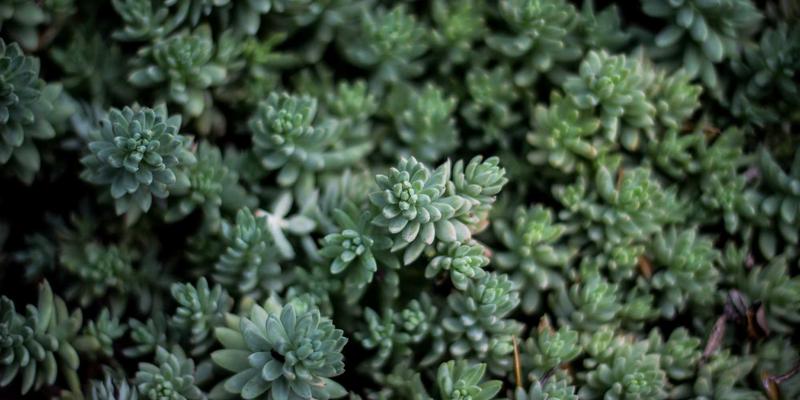 黄金首饰真能保值增值?深度剖析ENE黄金等金融化服务的投资真相